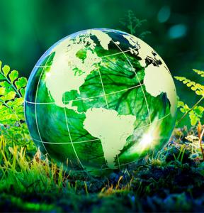 eco committment